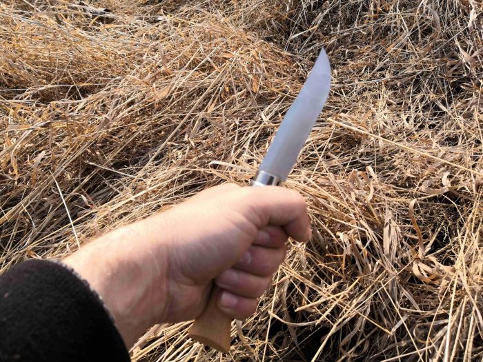 Нож складной Opinel №10 VRI Tradition Inox, сталь Sandvik™ 12С27, рукоять бук, 123100